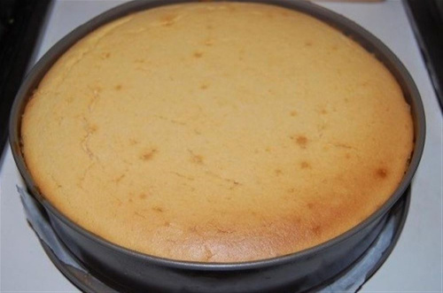 cheesecake-alle-carote-ricetta-edy-virgili-biologa-nutrizionista