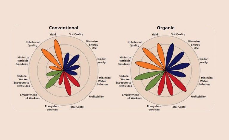 correlazione-tra-alimenti-bio-e-cancro-dottoressa-edy-virgili