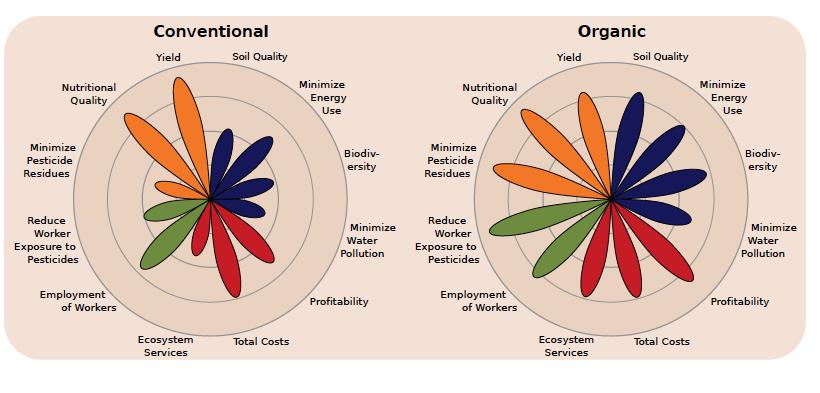 correlazione-tra-consumo-di-alimenti-biologici-e -rischio -di-cancro