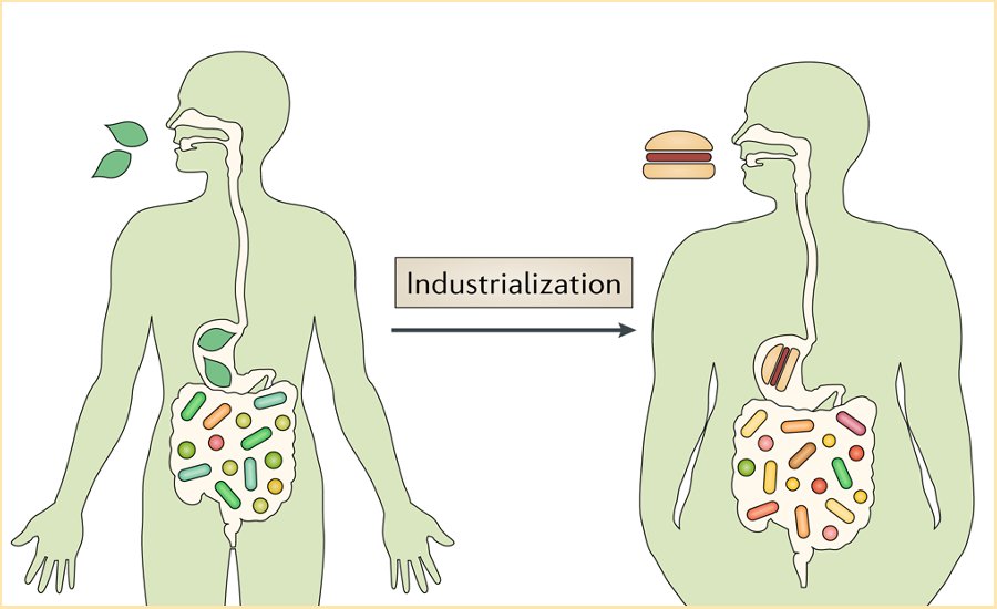 microbiota-ancestrale-e-microbiota-industrializzato-edy-virgili-biologa-nutrizionista